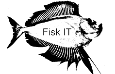 Fisk IT